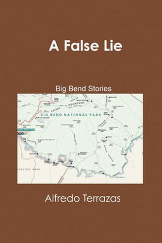 Cover image for A False Lie