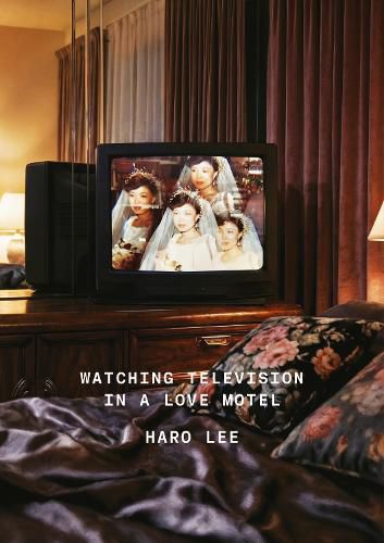 Cover image for Watching Television in a Love Motel