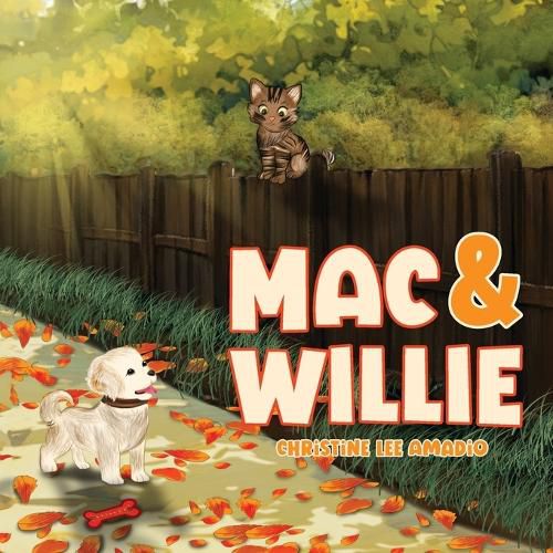 Cover image for Mac and Willie