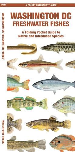 Cover image for Washington DC Freshwater Fishes