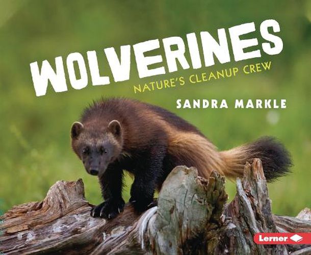 Cover image for Wolverines