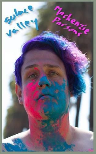 Cover image for Solace Valley