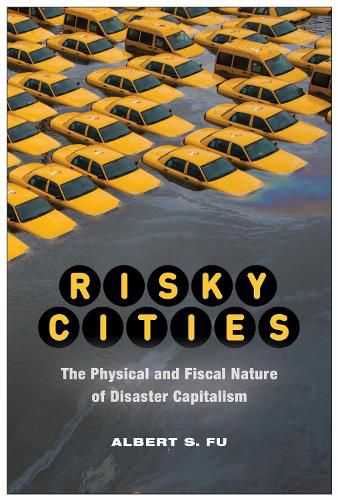 Cover image for Risky Cities: The Physical and Fiscal Nature of Disaster Capitalism