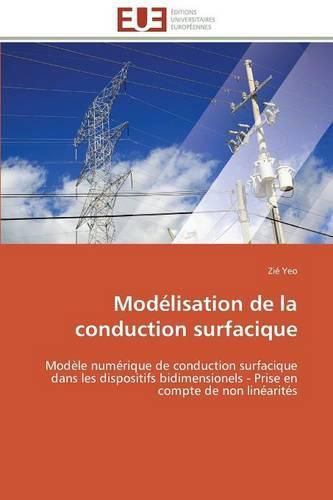 Cover image for Modelisation de la conduction surfacique