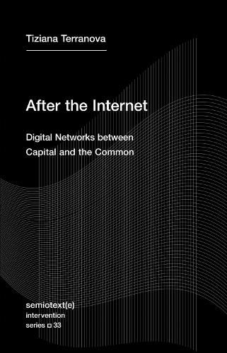 Cover image for After the Internet: Digital Networks between the Capital and the Common