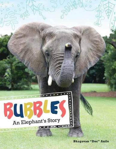 Bubbles: An Elephant's Story