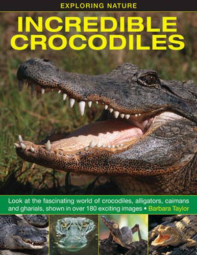 Exploring Nature: Incredible Crocodiles