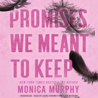 Cover image for Promises We Meant to Keep