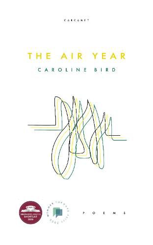 Cover image for The Air Year