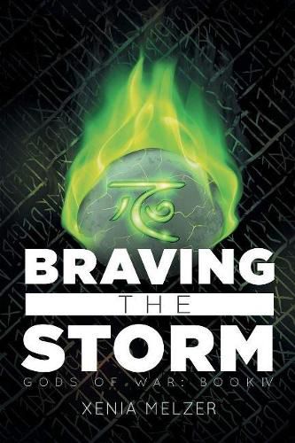 Cover image for Braving the Storm