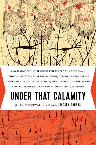 Cover image for Under That Calamity