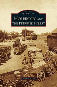 Cover image for Holbrook and the Petrified Forest