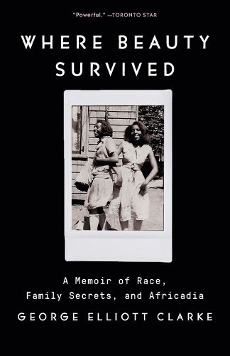 Cover image for Where Beauty Survived: A Memoir of Race, Family Secrets, and Africadia