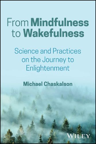 Cover image for From Mindfulness to Wakefulness