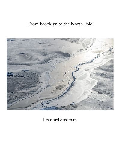 Cover image for From Brooklyn to the North Pole