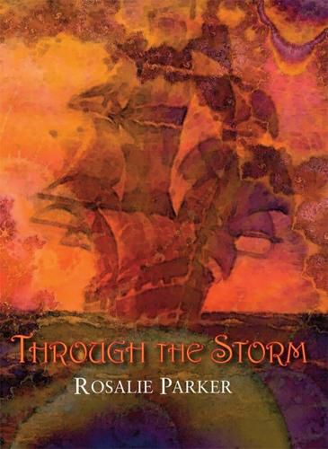 Cover image for Through the Storm