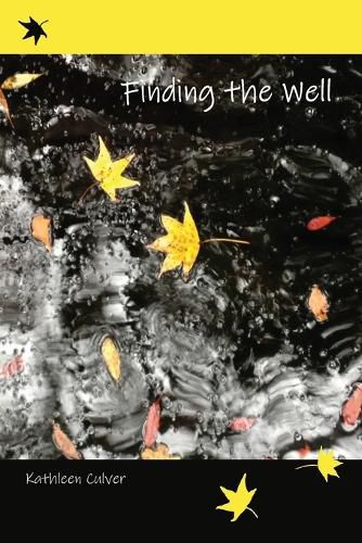 Cover image for Finding the Well