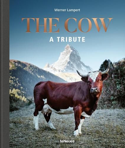 Cover image for The Cow: A Tribute