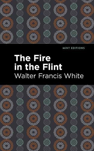 Cover image for The Fire in the Flint