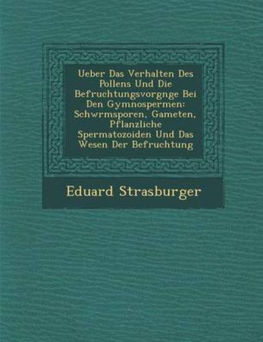 Cover image for Ueber Das Verhalten Des Pollens Und Die Befruchtungsvorg Nge Bei Den Gymnospermen: Schw Rmsporen, Gameten, Pflanzliche Spermatozoiden Und Das Wesen Der Befruchtung