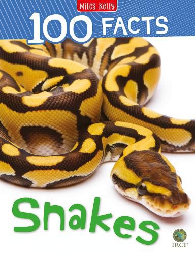Cover image for 100 Facts Snakes