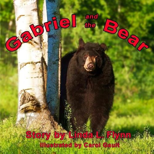 Cover image for Gabriel and the Bear