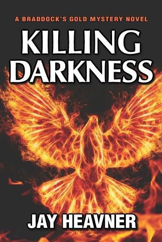 Cover image for Killing Darkness