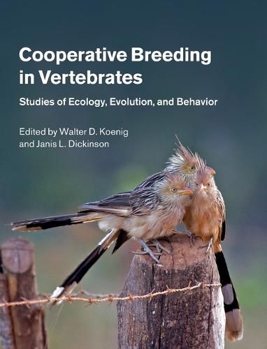 Cover image for Cooperative Breeding in Vertebrates: Studies of Ecology, Evolution, and Behavior