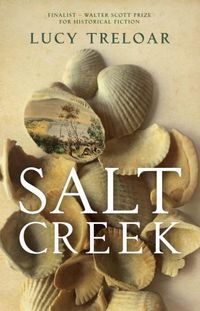 Cover image for Salt Creek