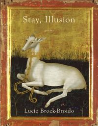 Cover image for Stay, Illusion: Poems