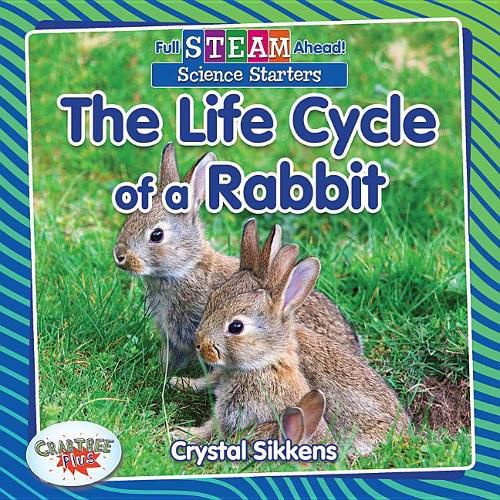 Cover image for The Life Cycle of a Rabbit