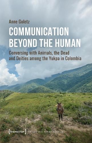 Cover image for Communication Beyond the Human