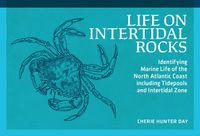 Cover image for Life on Intertidal Rocks