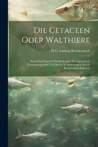 Cover image for Die Cetaceen oder Walthiere