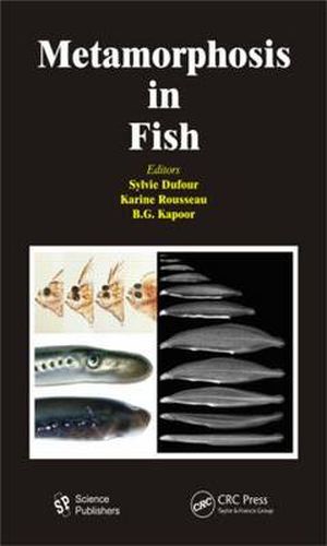 Cover image for Metamorphosis in Fish