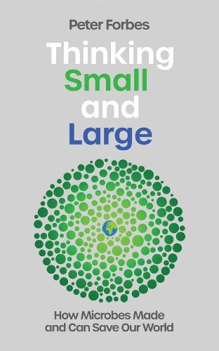 Cover image for Thinking Small and Large