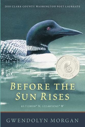 Cover image for Before the Sun Rises