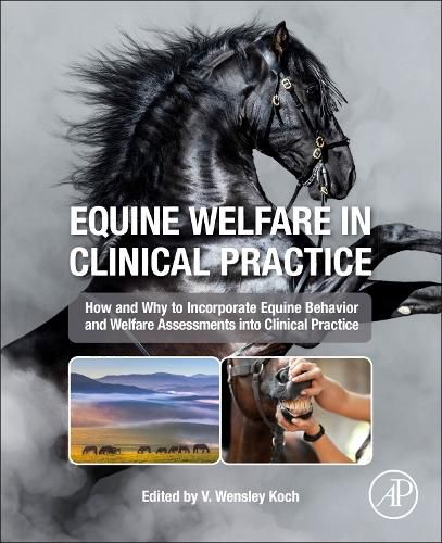 Cover image for Equine Welfare in Clinical Practice