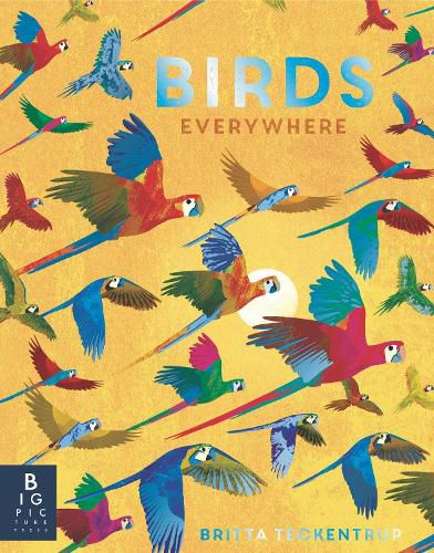 Cover image for Birds Everywhere