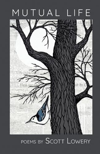 Cover image for Mutual Life