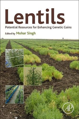Cover image for Lentils: Potential Resources for Enhancing Genetic Gains