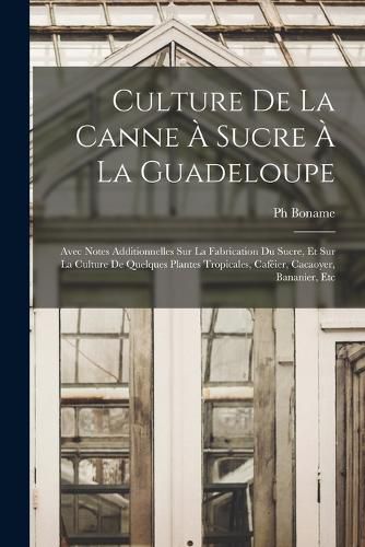 Cover image for Culture De La Canne A Sucre A La Guadeloupe