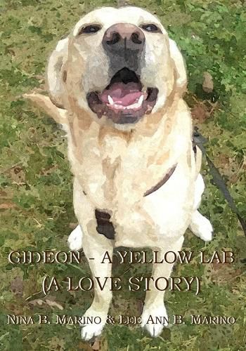 Cover image for Gideon - A Yellow Lab: A Love Story