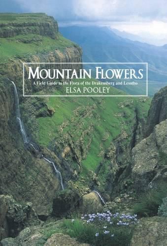 Cover image for Mountain Flowers: Field Guide to the Flora of the Drakensberg and Lesotho