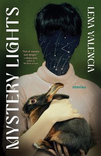 Cover image for Mystery Lights