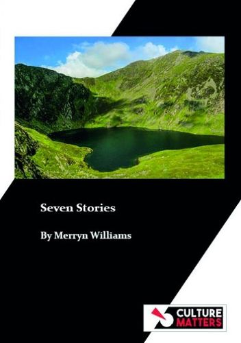 Cover image for Seven Stories
