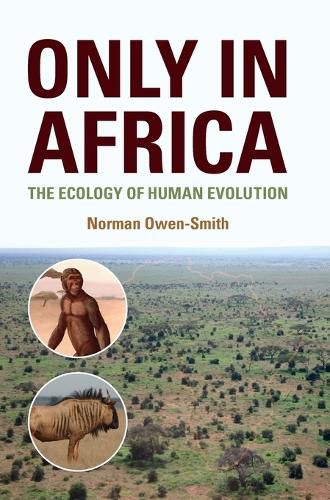 Cover image for Only in Africa: The Ecology of Human Evolution