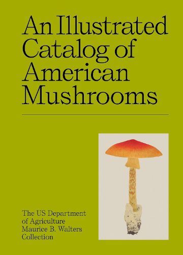 Cover image for An Illustrated Catalog of American Mushrooms