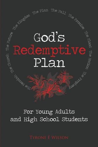 Cover image for God's Redemptive Plan: For Young Adults and High School Students