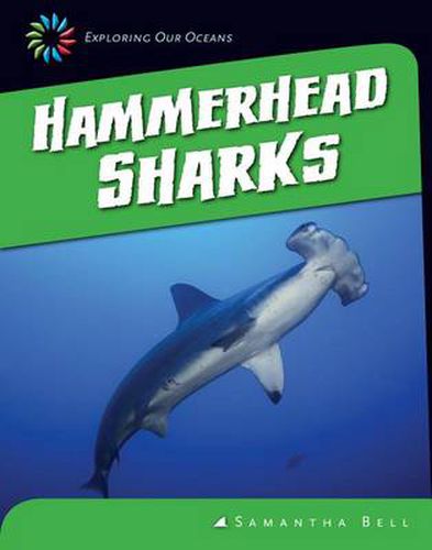 Cover image for Hammerhead Sharks